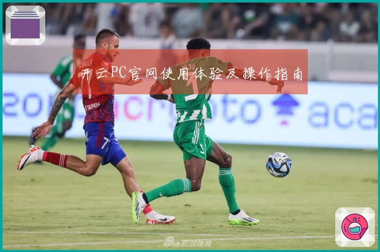 开云PC官网使用体验及操作指南