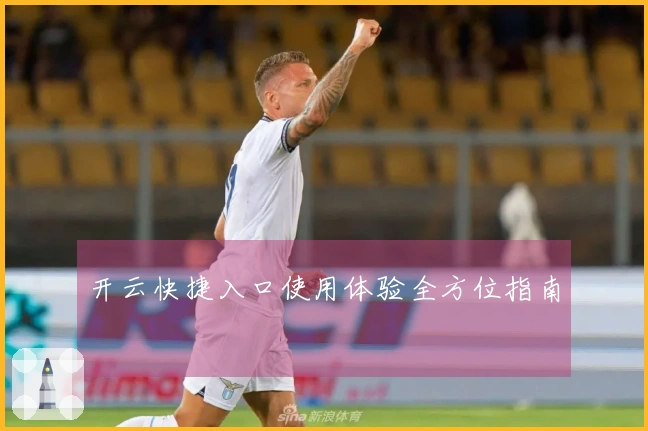 开云快捷入口使用体验全方位指南